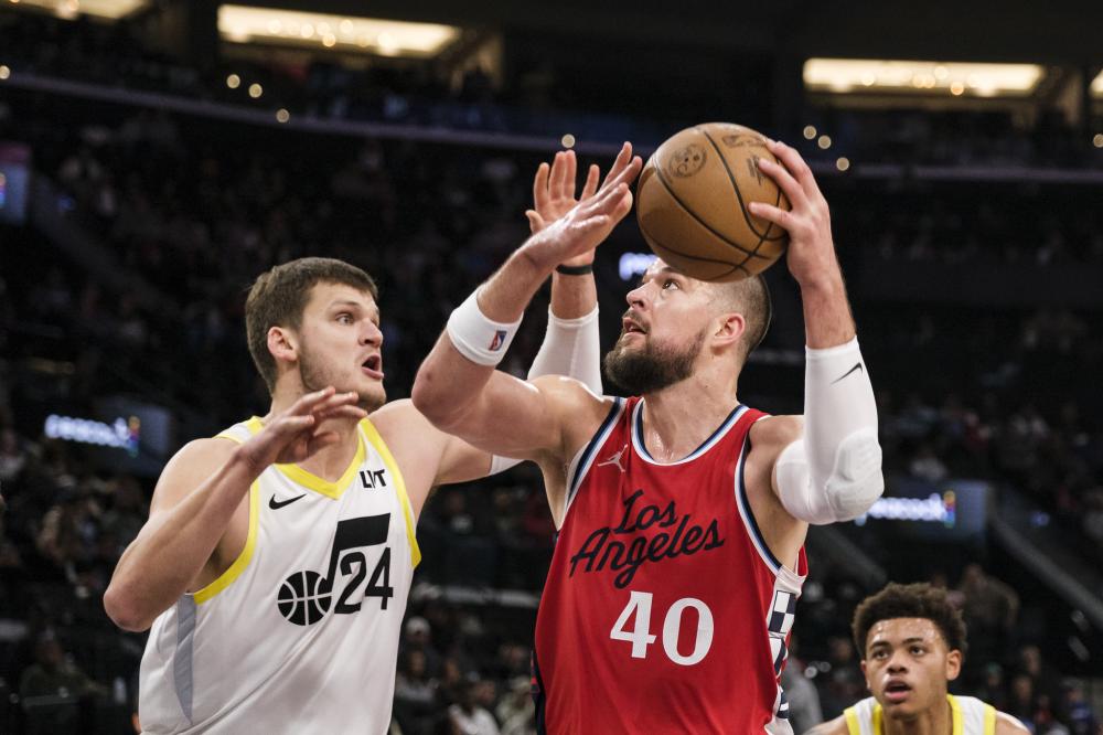 其作用不仅 其作用不仅