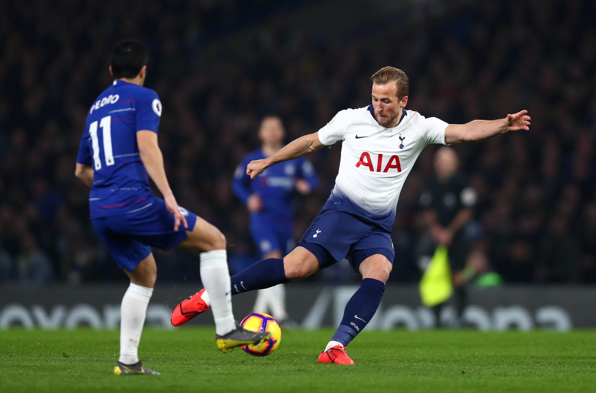 富的热带风 富的热带风